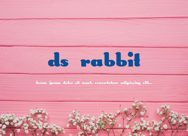 DS Rabbit example